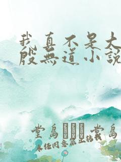 我真不是大反派殷无道小说在线阅读 我真不是大反派殷无道小说在线阅读
