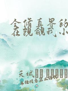 全修真界的人都在觊觎我小说