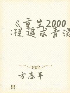 《重生2000:从追求青涩校花同桌开始》