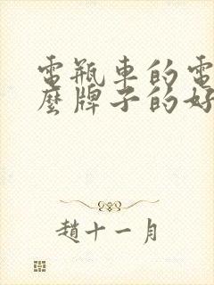 电瓶车的电瓶什么牌子的好