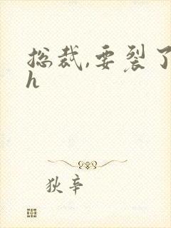 总裁,要裂了高h