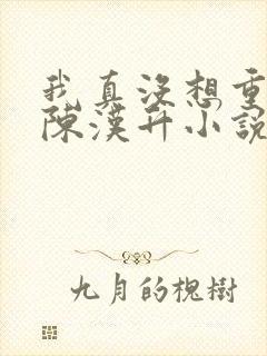 我真没想重生啊陈汉升小说完全版