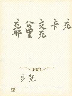 充公交卡充值去哪里充
