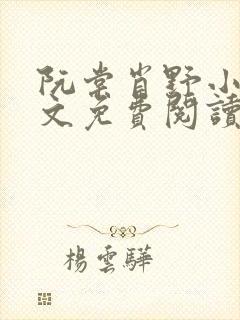 阮棠肖野小说全文免费阅读