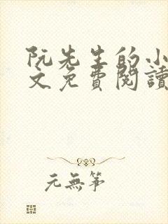 阮先生的小说全文免费阅读无弹窗