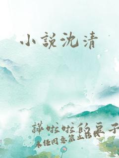 小说沈清