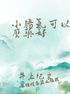 小肠气可以吃什么药好