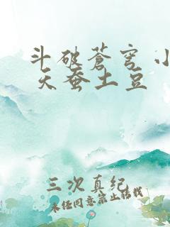 斗破苍穹 小说 天蚕土豆