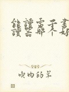 能读电子书的阅读器哪个好