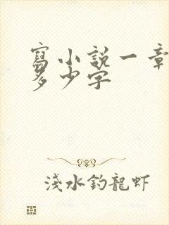 写小说一章大概多少字