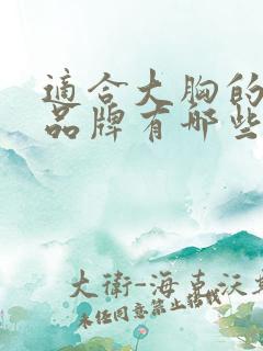 适合大胸的内衣品牌有哪些