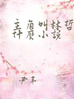 主角叫林哲的是什么小说