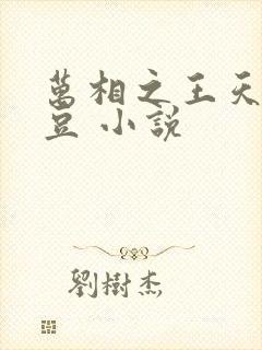 万相之王天蚕土豆 小说 万相之王天蚕土豆 小说