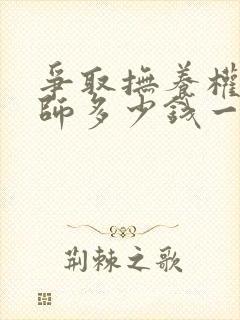 争取抚养权请律师多少钱一次