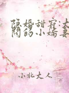 隐婚甜宠:大财阀的小娇妻