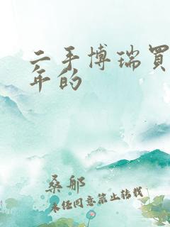 二手博瑞买哪一年的
