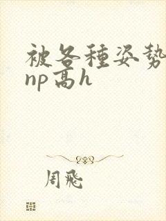 被各种姿势玩弄np高h