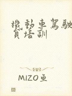 机动车驾驶教练员培训