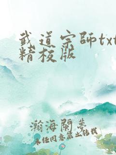 武道宗师txt精校版