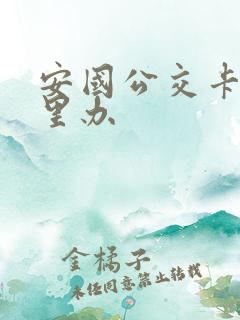 安国公交卡在哪里办