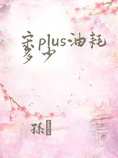 宋plus油耗多少