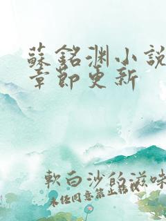 苏铭渊小说最新章节更新