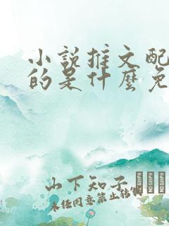 小说推文配音用的是什么免费软件