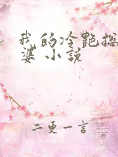 我的冷艳总裁老婆 小说