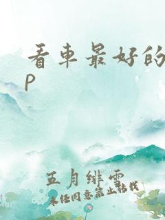 看车最好的app