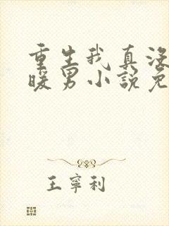 重生我真没想当暖男小说免费阅读