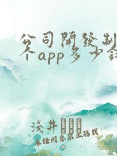 公司开发制作一个app多少钱