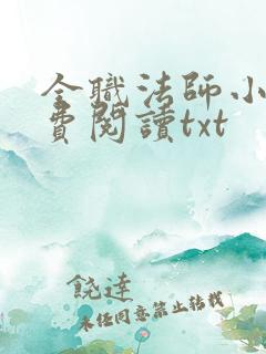 全职法师小说免费阅读txt