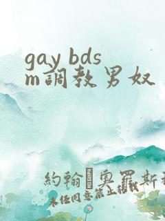 gay bdsm调教男奴