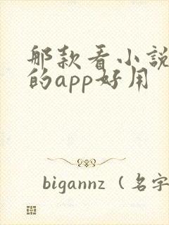 那款看小说免费的app好用