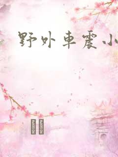 野外车震小说