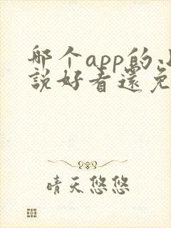 哪个app的小说好看还免费