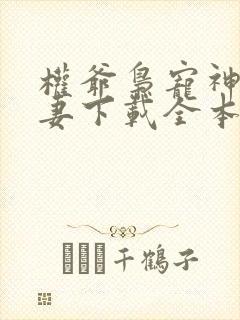 权爷枭宠神秘娇妻下载全本txt