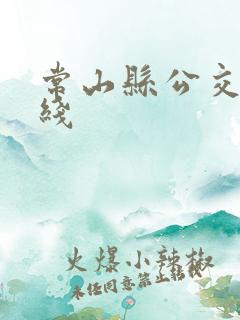 常山县公交车路线