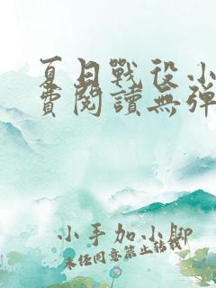 夏日战役小说免费阅读无弹窗全文