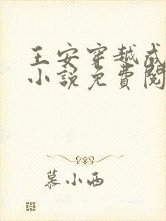 王安穿越成太子小说免费阅读苏提达
