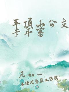 平顶山公交老年卡年审