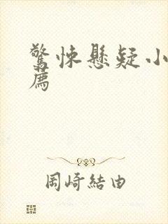 惊悚悬疑小说推荐