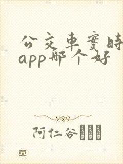 公交车实时查询app哪个好