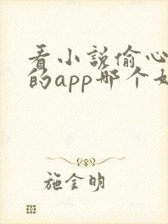 看小说偷心免费的app哪个好