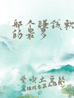 哪个赚钱软件赚的最多