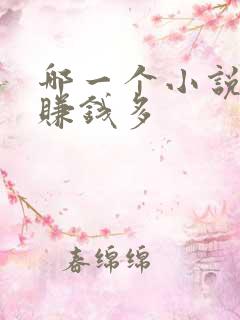 哪一个小说软件赚钱多