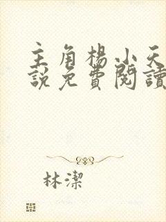 主角杨小天的小说免费阅读全文