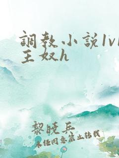 调教小说1v1主奴h