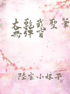 大乾武圣笔趣阁无弹窗