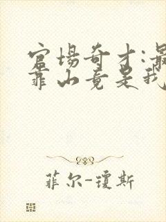官场奇才:最强靠山竟是我自己李霖小说在 官场奇才:最强靠山竟是我自己李霖小说在